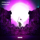 Purple Haze: Surrender