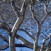 Discography II (2007-2009)