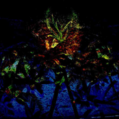 Two Rivers of Blood Flow From The Moon