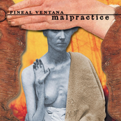 The Hooded Mirror by Pineal Ventana
