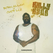 Bully Bars