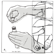 Swallow the rocket, here's Los Daylight