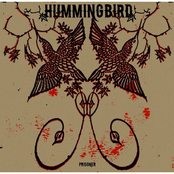 Under Your Spell by Hummingbird