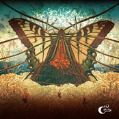 Mr. Gnome: The Heart Of A Dark Star