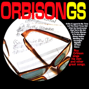 22 Days by Roy Orbison