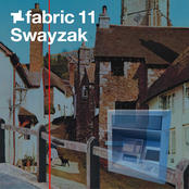 fabriclive 33: spank rock