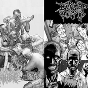 Cannibe/Impaled Cunts [Split]