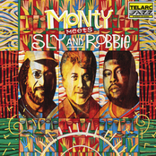 Monty Alexander: Monty Meets Sly And Robbie