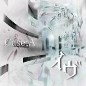 Case;A