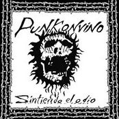 punkonvino