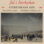 Jul i Storkyrkan / Christmas in Stockholm Cathedral