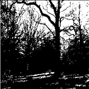 Visions of a Humbling Supremacy