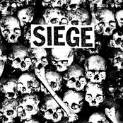 Life Of Hate by Siege