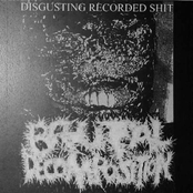 Disgusting Recorded Shit