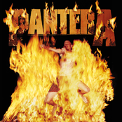 Death Rattle by Pantera