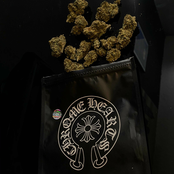 Chrome Hearts Runtz (feat. Destroy Lonely) - Single