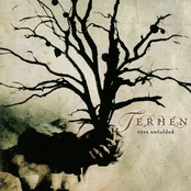 Influences by Terhen