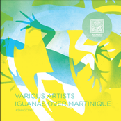 Iguanas Over Marinique