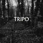 tripo