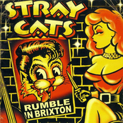 Good Rockin' Tonight by Stray Cats