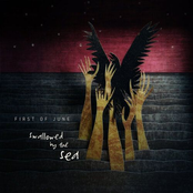 Swallowed by the Sea