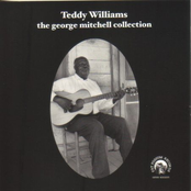 teddy williams