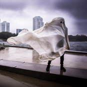 this is where people come to die