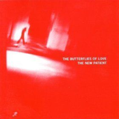 100th Floor by The Butterflies Of Love