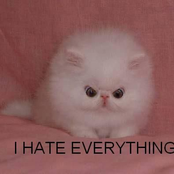 Test Artist: Baconalbum A