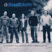 ddisselblom