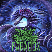 Paradox