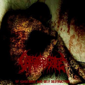 Of Ignorance And Self Destruction