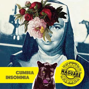 Cumbia Insomnia