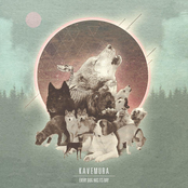 Every Dog Has Its Day