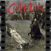Cult Life