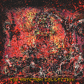 The Bisection Collection