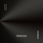 Pérdida