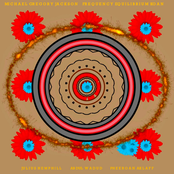 Frequency Equilibrium Koan