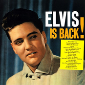 elvis is back!