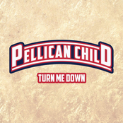 Turn Me Down - Single