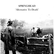 Alternative to Death