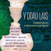 Y Ddau Lais (Country & Popular Duos)