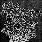 Respect is Collected