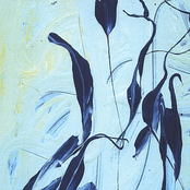 Seems Sometimes People Undergo Full Transformation