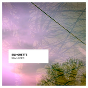 Silhouette
