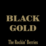 Long Time Ago by The Rockin' Berries