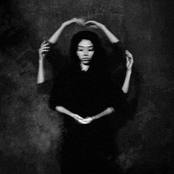 The Darcys: Ocean Eyes