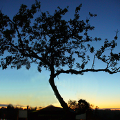 Our existence is bound