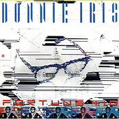Never Did I by Donnie Iris