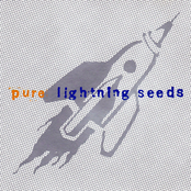 Fools by The Lightning Seeds